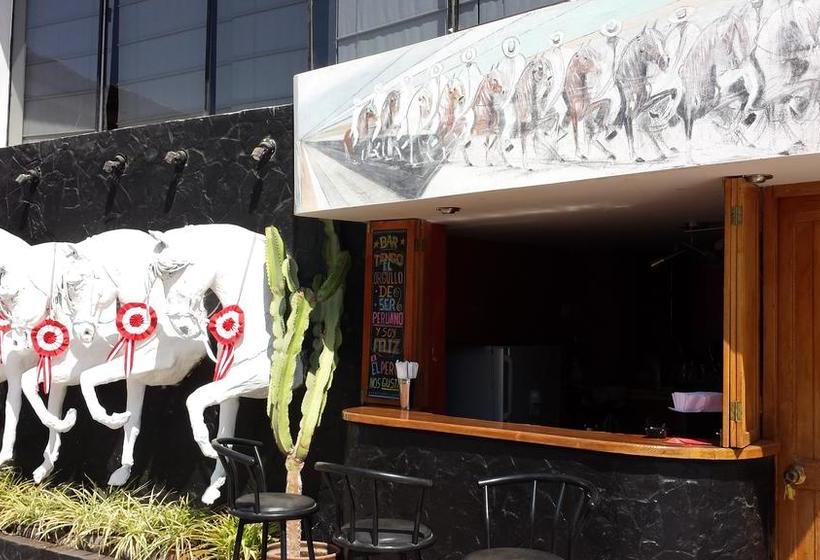 Hotel Belle Sand | Ica | Ica | Perú 7