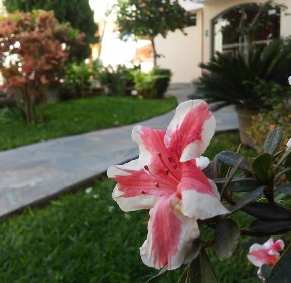 Hotel Belle Sand | Ica | Ica | Perú 9