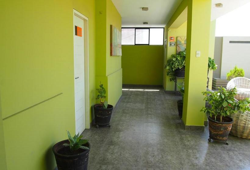 Hotel Valle Del Sol | Chiclayo | Chiclayo | Perú 11
