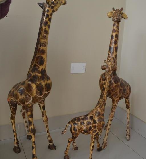 Hotel Suyox Tarapoto | Tarapoto | San Martín | Perú 4