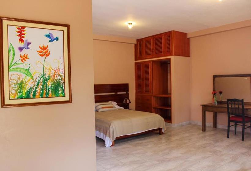 Albergue Sombrero De Paja | Iquitos | Maynas | Perú 10