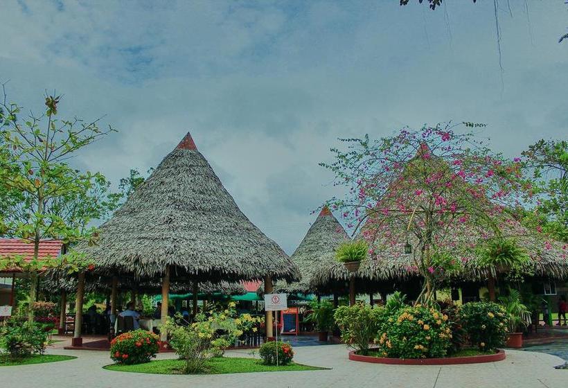 Albergue Sombrero De Paja | Iquitos | Maynas | Perú 8