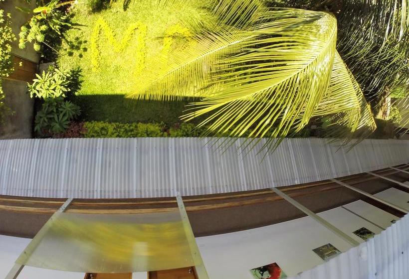 Hotel Marfil Del Amazonas | Iquitos | Maynas | Perú 8