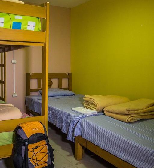 Albergue Atenas Backpacker Hospedaje | Paracas | Pisco | Perú 13