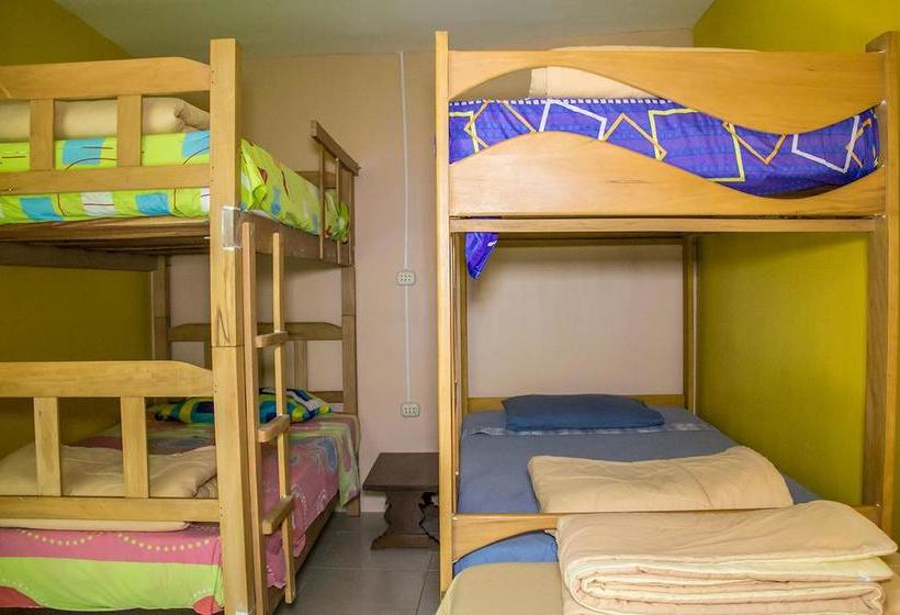 Albergue Atenas Backpacker Hospedaje | Paracas | Pisco | Perú 15