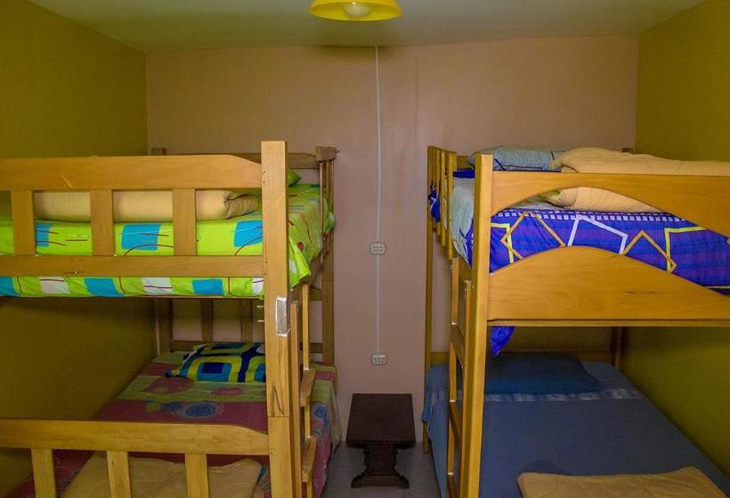 Albergue Atenas Backpacker Hospedaje | Paracas | Pisco | Perú 16
