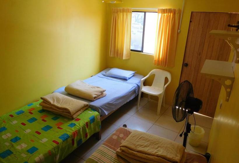 Albergue Atenas Backpacker Hospedaje | Paracas | Pisco | Perú 6