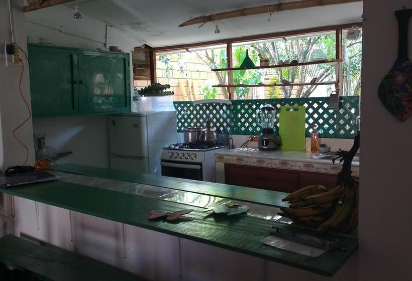 Albergue Bambu Tarapoto | Tarapoto | San Martín | Perú 7