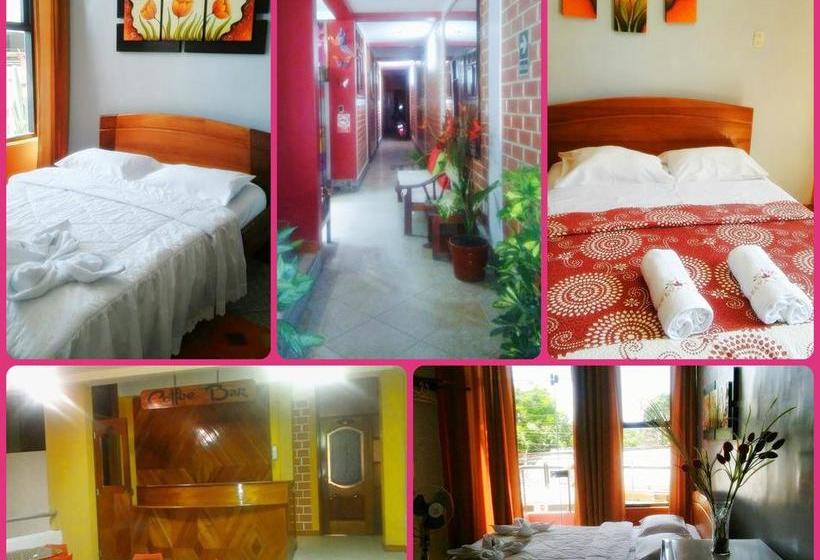 Hotel Selva Real | Moyobamba | Moyobamba | Perú 3