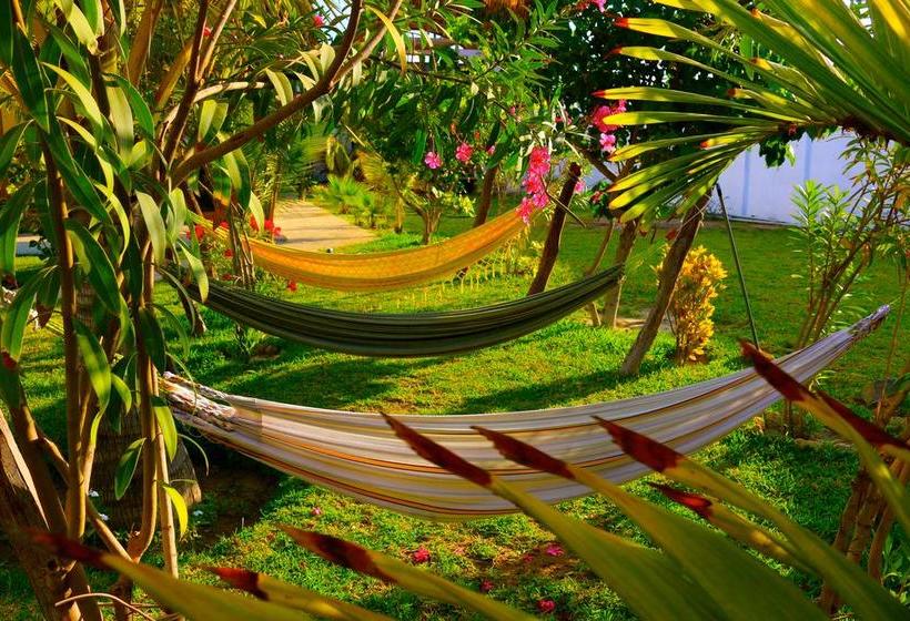 Hotel Kites Mancora | Máncora | Talara | Perú 14