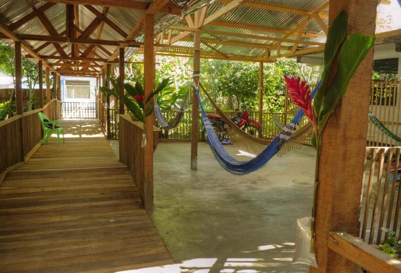 Isuyama Hostel Tambopata