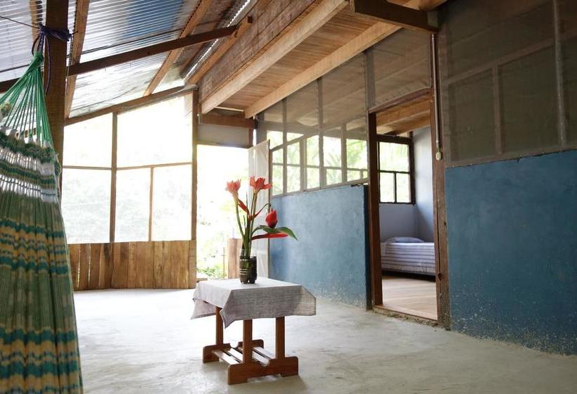 Isuyama Hostel | Puerto Maldonado | Tambopata | Perú 1