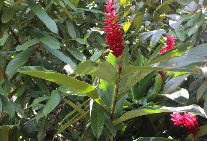 Isuyama Hostel | Puerto Maldonado | Tambopata | Perú 11