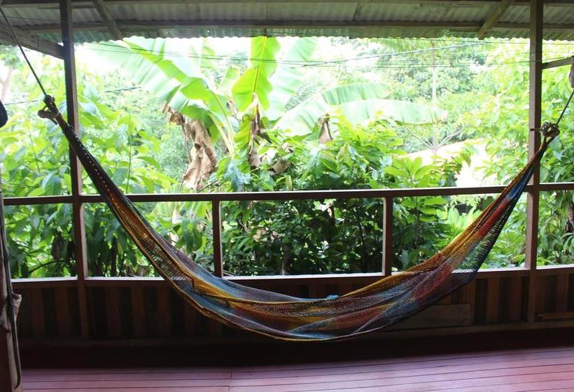 Isuyama Hostel | Puerto Maldonado | Tambopata | Perú 2