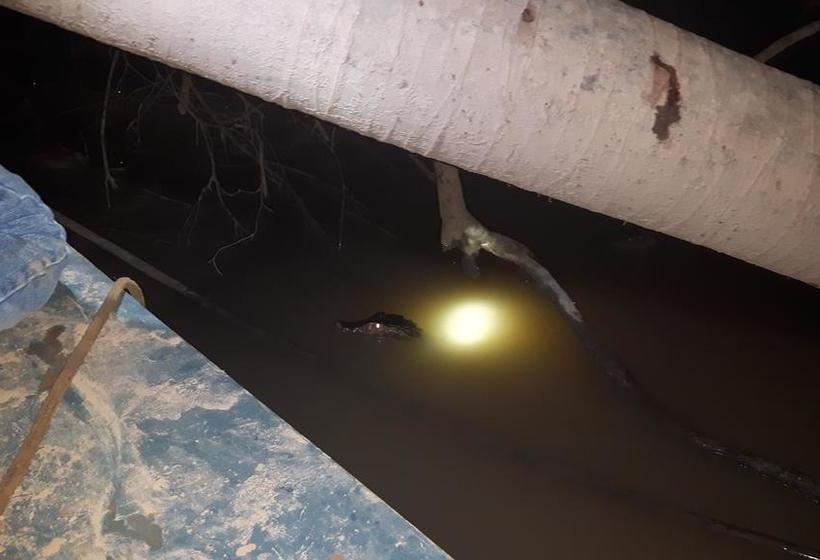 Isuyama Hostel | Puerto Maldonado | Tambopata | Perú 7