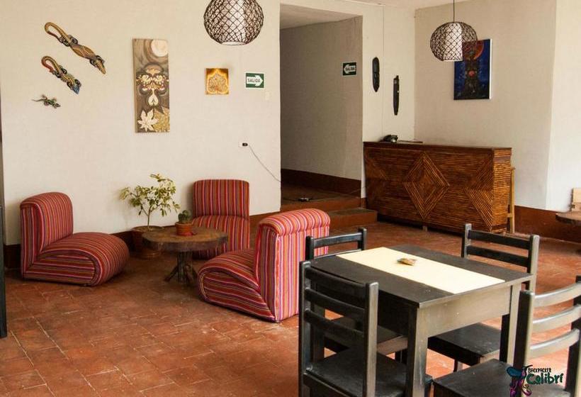 Bed and Breakfast Backpacker Colibri Tarapoto | Tarapoto | San Martín | Perú 1