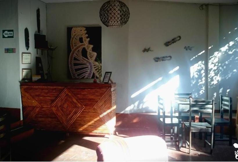 Bed and Breakfast Backpacker Colibri Tarapoto | Tarapoto | San Martín | Perú 14