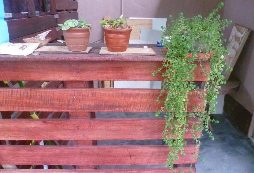 Bed and Breakfast Backpacker Colibri Tarapoto | Tarapoto | San Martín | Perú 16