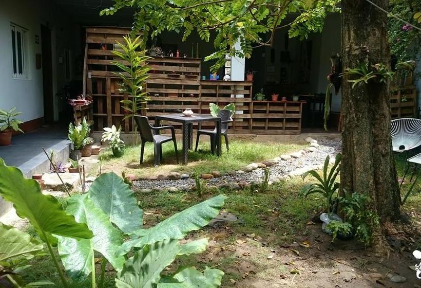 Bed and Breakfast Backpacker Colibri Tarapoto | Tarapoto | San Martín | Perú 17