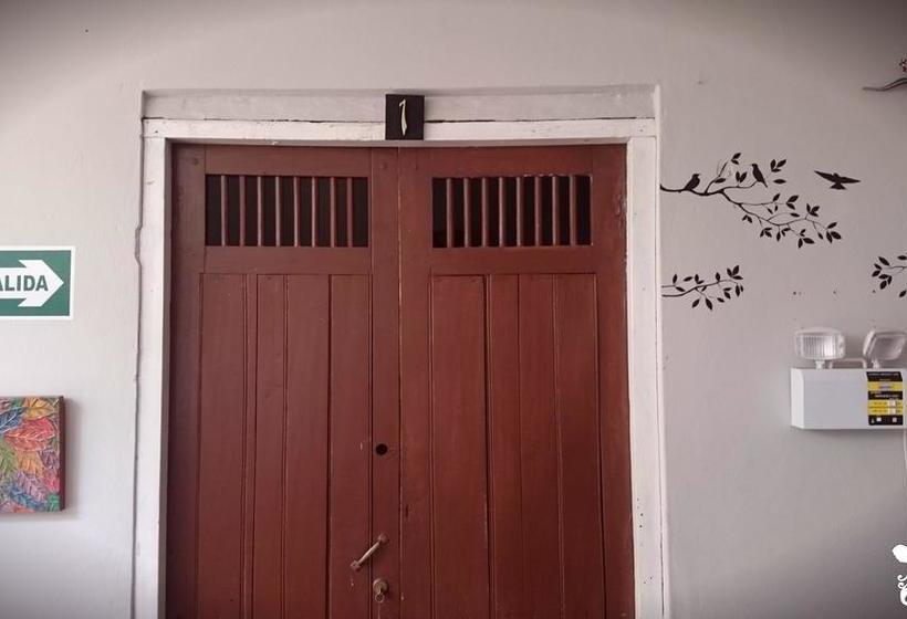 Bed and Breakfast Backpacker Colibri Tarapoto | Tarapoto | San Martín | Perú 18