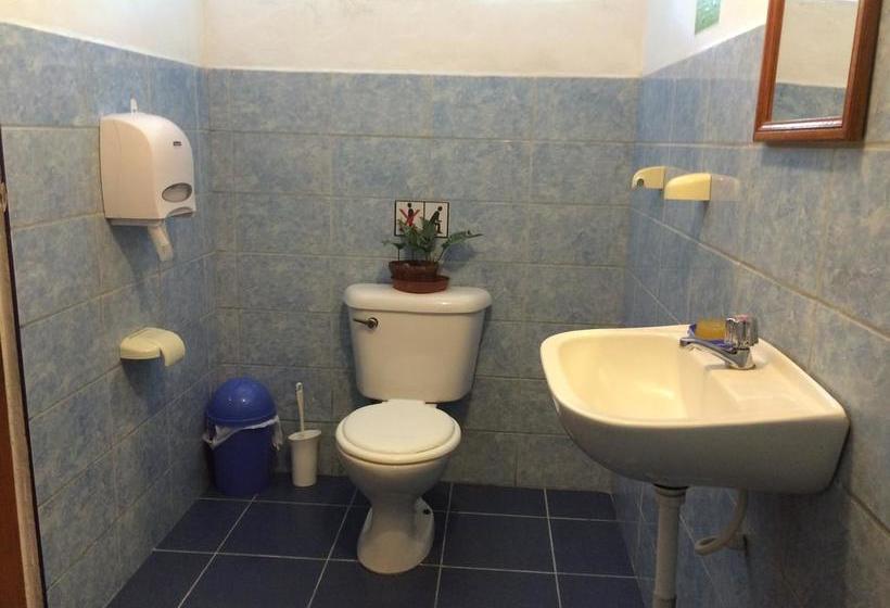 Bed and Breakfast Backpacker Colibri Tarapoto | Tarapoto | San Martín | Perú 3