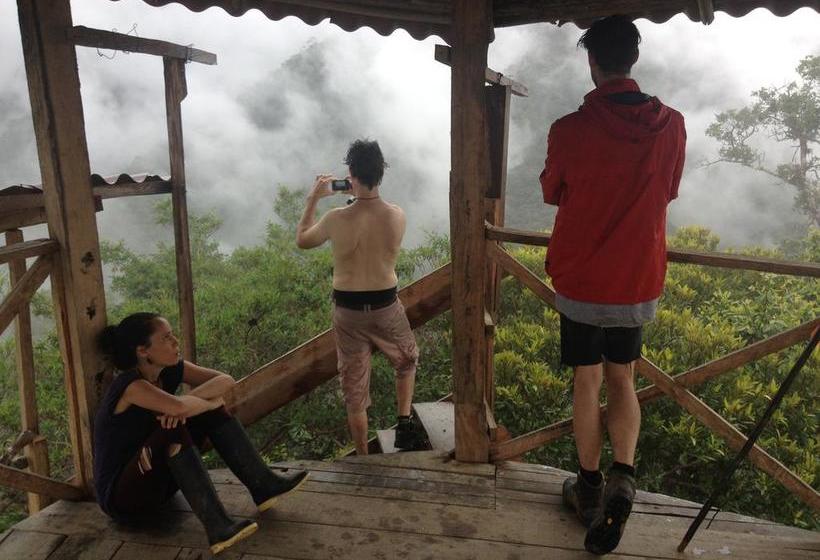 Bed and Breakfast Backpacker Colibri Tarapoto | Tarapoto | San Martín | Perú 4