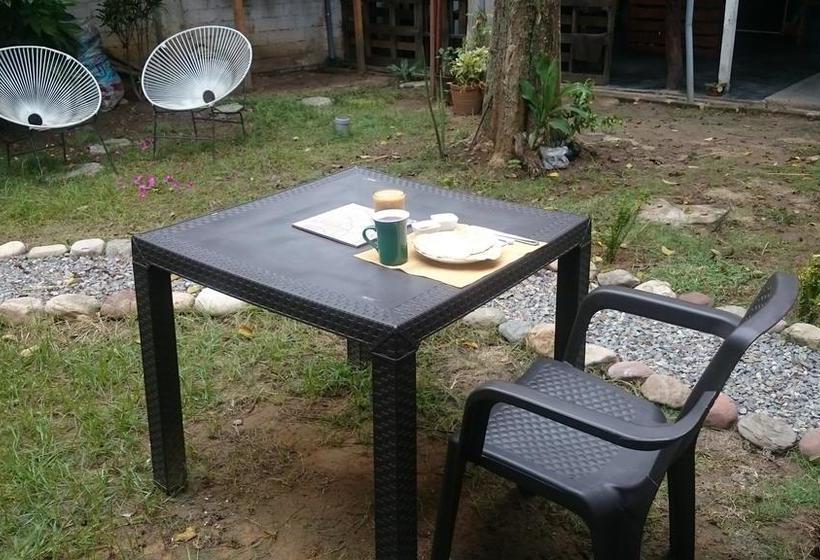 Bed and Breakfast Backpacker Colibri Tarapoto | Tarapoto | San Martín | Perú 6