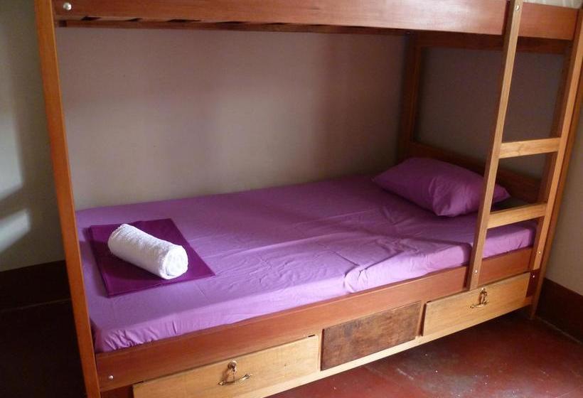 Bed and Breakfast Backpacker Colibri Tarapoto | Tarapoto | San Martín | Perú 9