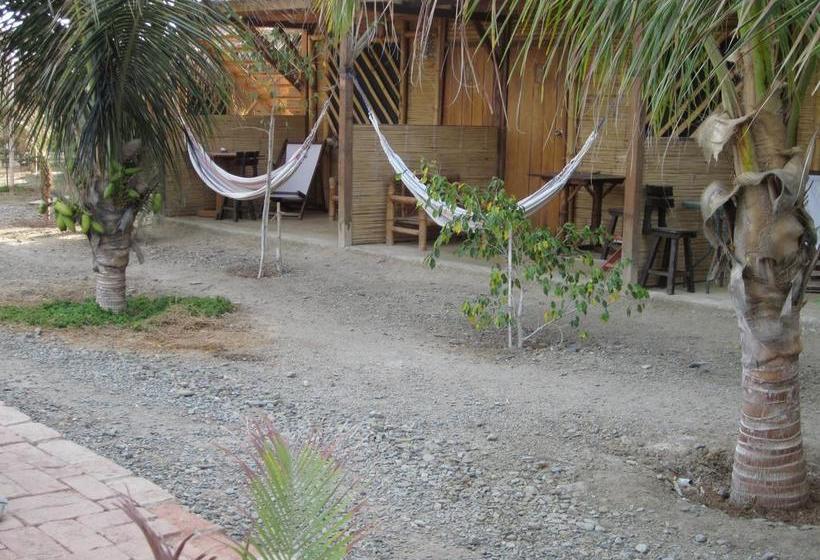 Guacamayo Bed & Breakfast | Máncora | Talara | Perú 14