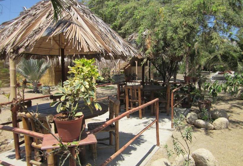 Guacamayo Bed & Breakfast | Máncora | Talara | Perú 17