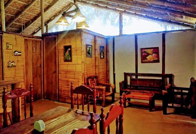 Guacamayo Bed & Breakfast | Máncora | Talara | Perú 2