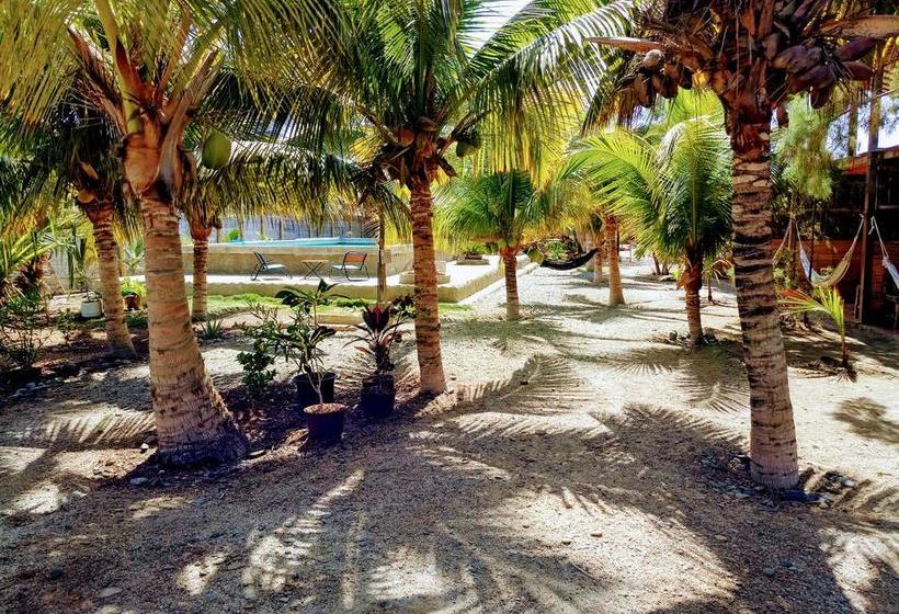 Guacamayo Bed & Breakfast | Máncora | Talara | Perú 3