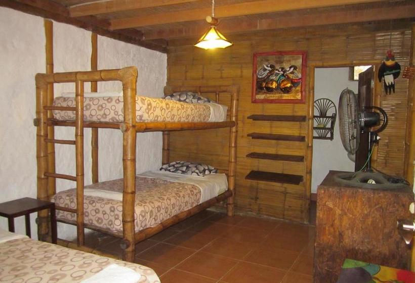 Guacamayo Bed & Breakfast | Máncora | Talara | Perú 7