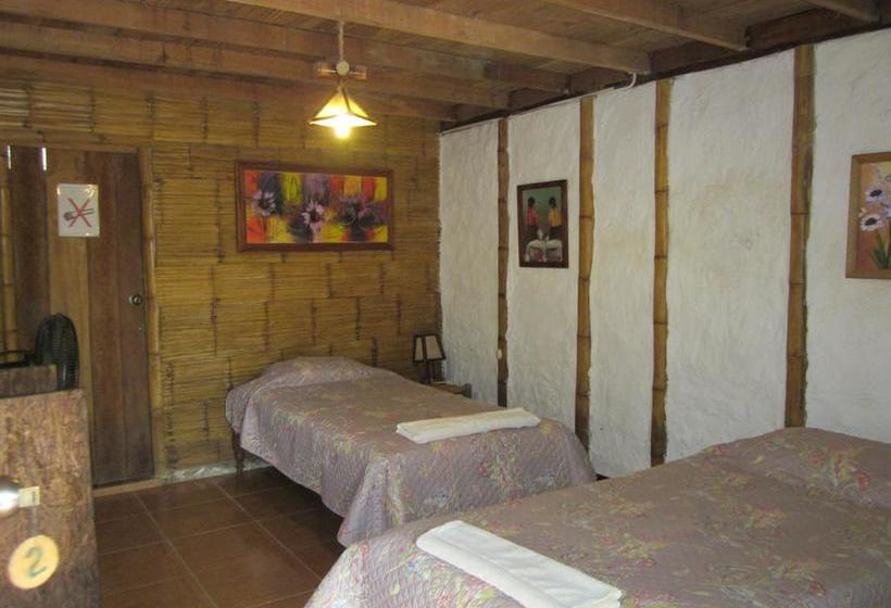 Guacamayo Bed & Breakfast | Máncora | Talara | Perú 8