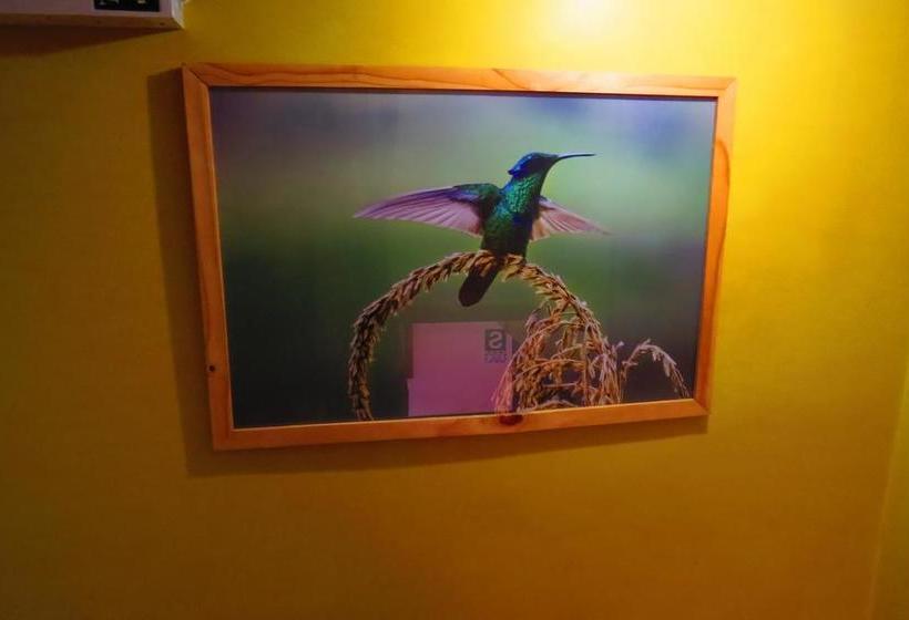 Albergue La Casa De Zarela | Huaraz | Huaraz | Perú 18