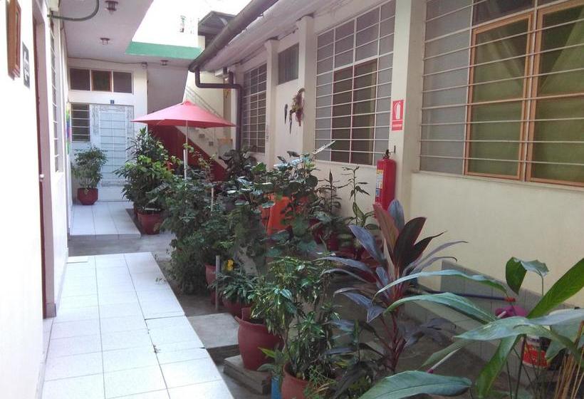 Albergue Hostal El Colibrí | Iquitos | Maynas | Perú 12