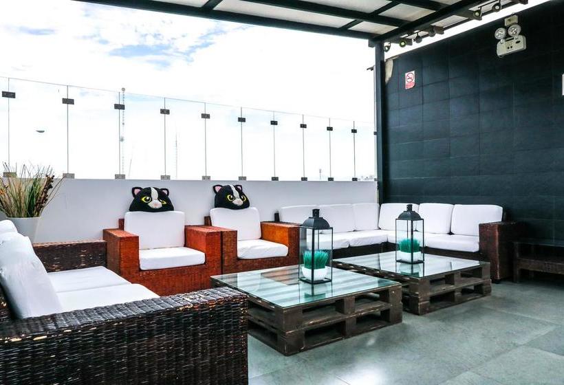 Bed and Breakfast Ica Adventures 2 | Ica | Ica | Perú 14