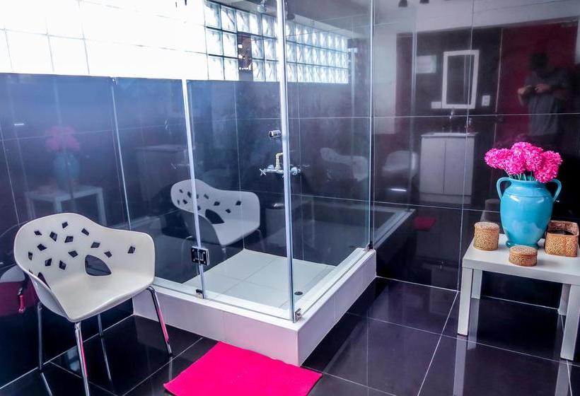 Bed and Breakfast Ica Adventures 2 | Ica | Ica | Perú 16