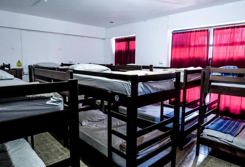 Bed and Breakfast Ica Adventures 2 | Ica | Ica | Perú 3