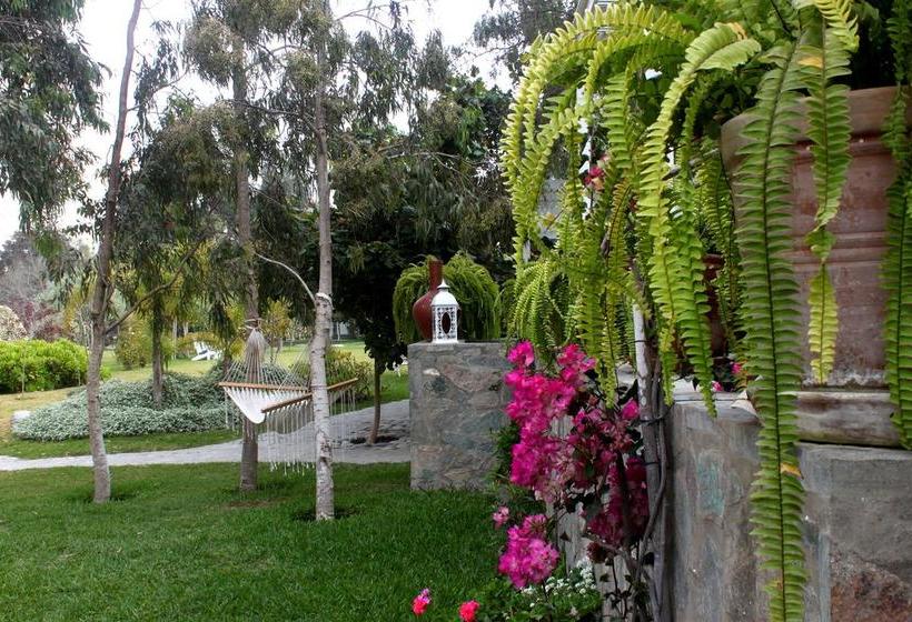 Hotel Los Palomos | Lunahuaná | Cañete | Perú 18