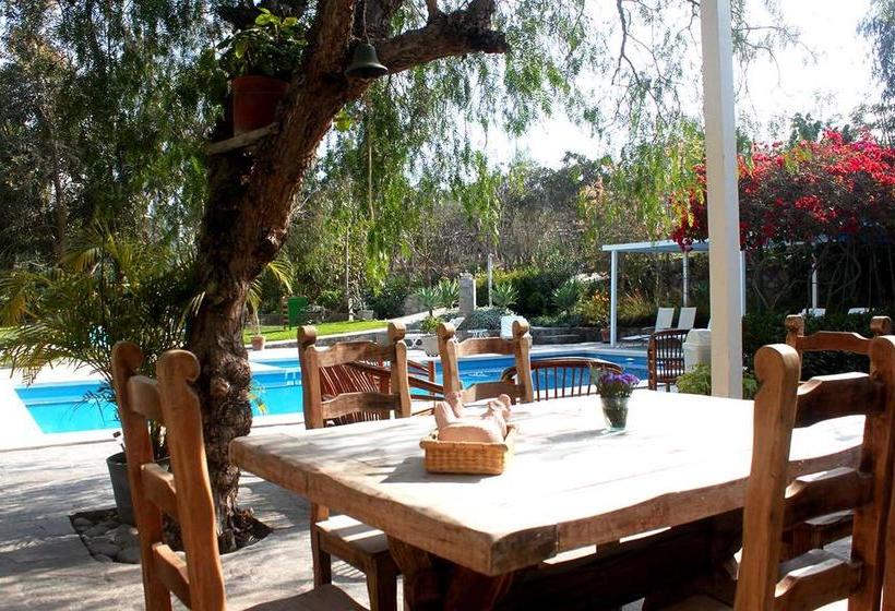 Hotel Los Palomos | Lunahuaná | Cañete | Perú 4