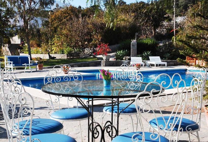 Hotel Los Palomos | Lunahuaná | Cañete | Perú 6