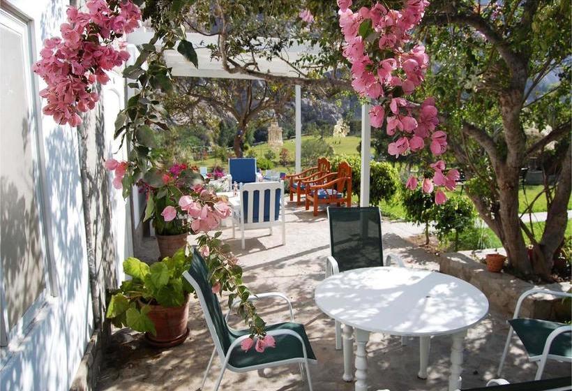 Hotel Los Palomos | Lunahuaná | Cañete | Perú 8