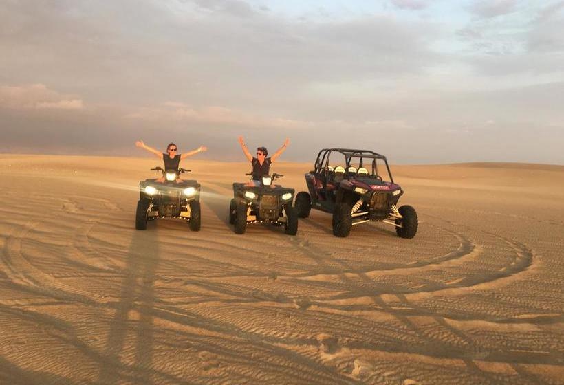 Bed and Breakfast Ica Adventures | Ica | Ica | Perú 10