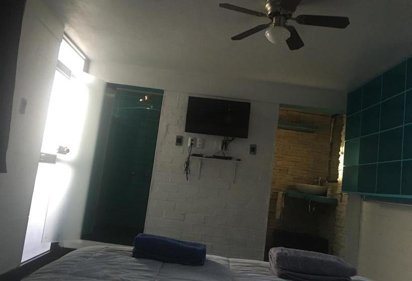 Bed and Breakfast Ica Adventures | Ica | Ica | Perú 11