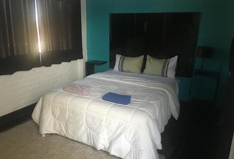 Bed and Breakfast Ica Adventures | Ica | Ica | Perú 12