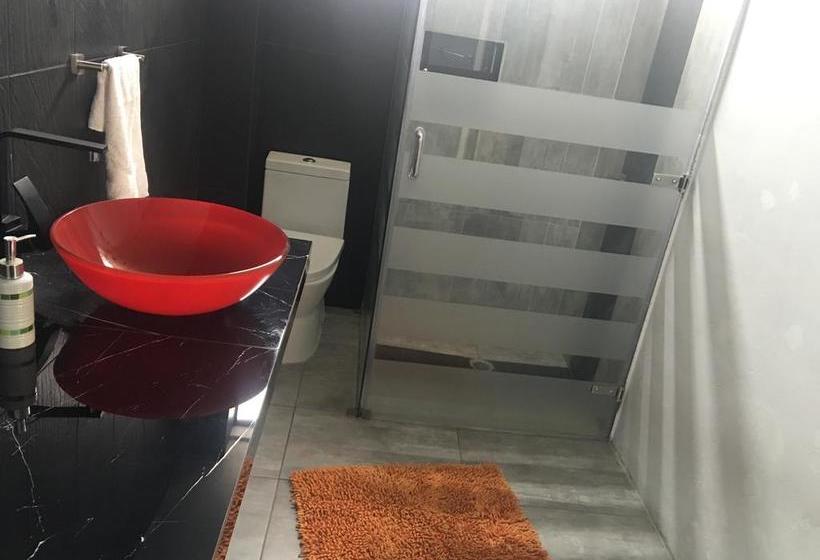 Bed and Breakfast Ica Adventures | Ica | Ica | Perú 13