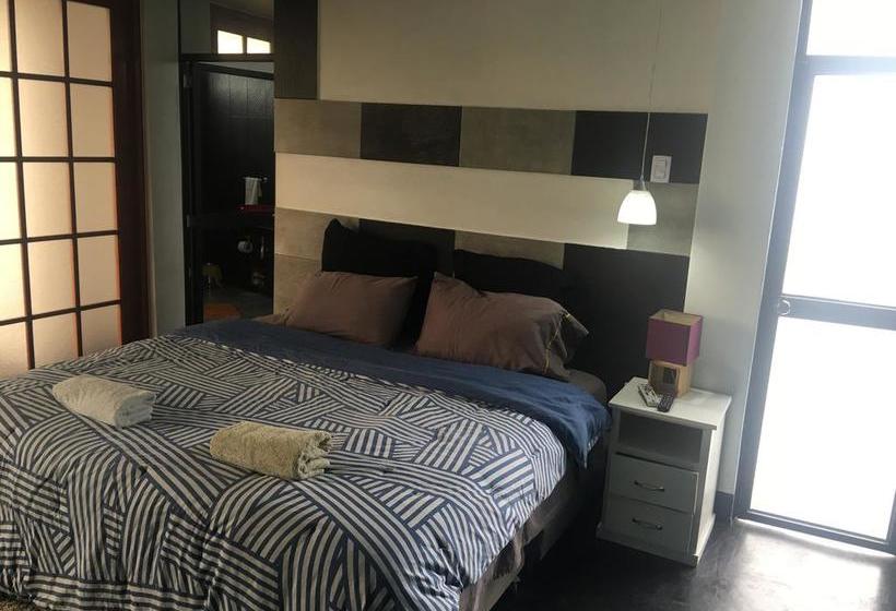 Bed and Breakfast Ica Adventures | Ica | Ica | Perú 14