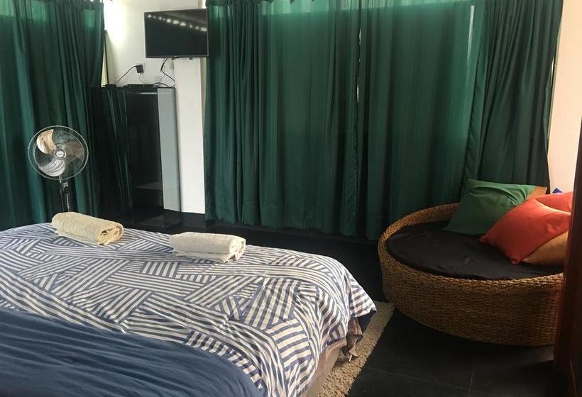 Bed and Breakfast Ica Adventures | Ica | Ica | Perú 4