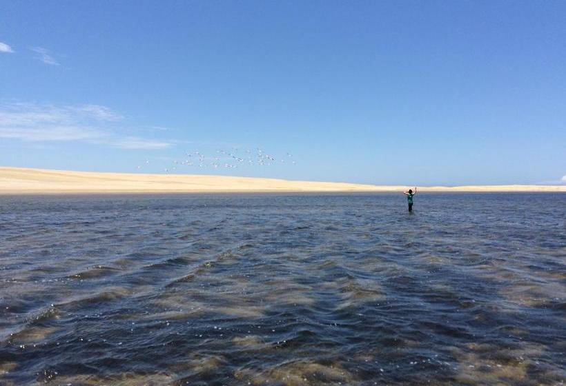 Bed and Breakfast Ica Adventures | Ica | Ica | Perú 7